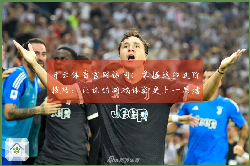 开云体育官网访问：掌握这些进阶技巧，让你的游戏体验更上一层楼