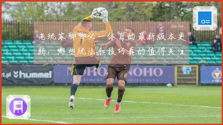 老玩家聊聊必一体育的最新版本更新，哪些玩法和技巧真的值得关注？