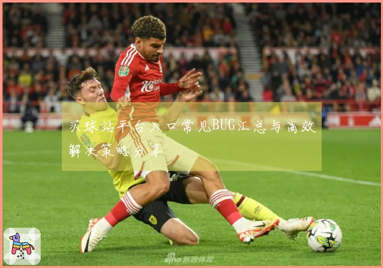 买球站平台入口常见BUG汇总与高效解决策略分享
